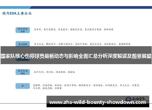 国家队核心伤停球员最新动态与影响全面汇总分析深度解读及前景展望 国家队核心伤停球员最新动态与影响全面汇总分析深度解读及前景展望
